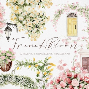 Fiore francese, PNG del fiore dell'acquerello, Fiore dell'acquerello, Clipart dell'acquerello, Clipart francese, Clipart della rosa rosa, PNG della rosa dell'acquerello