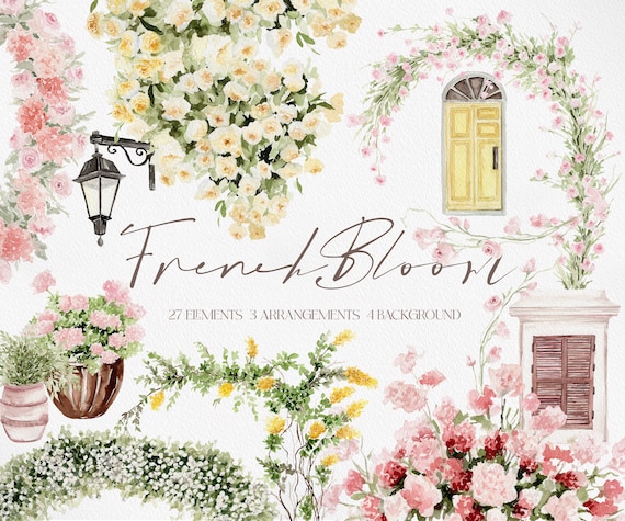 French Bloom, Watercolor Flower PNG, Watercolor Flower, Watercolor Clipart, French Clipart, Pink Rose Clipart, Watercolor Rose PNG