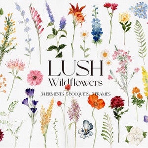 Weelderige wilde bloemen, wilde bloem PNG, aquarel wilde bloem, bloem clipart, aquarel bloem PNG, wilde bloem clipart
