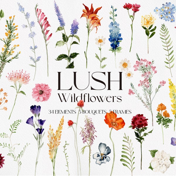 LUSH Wildflowers, Wild flower PNG, Watercolor Wild flower, Flower Clipart, Watercolor Flower PNG, Wildflower Clipart