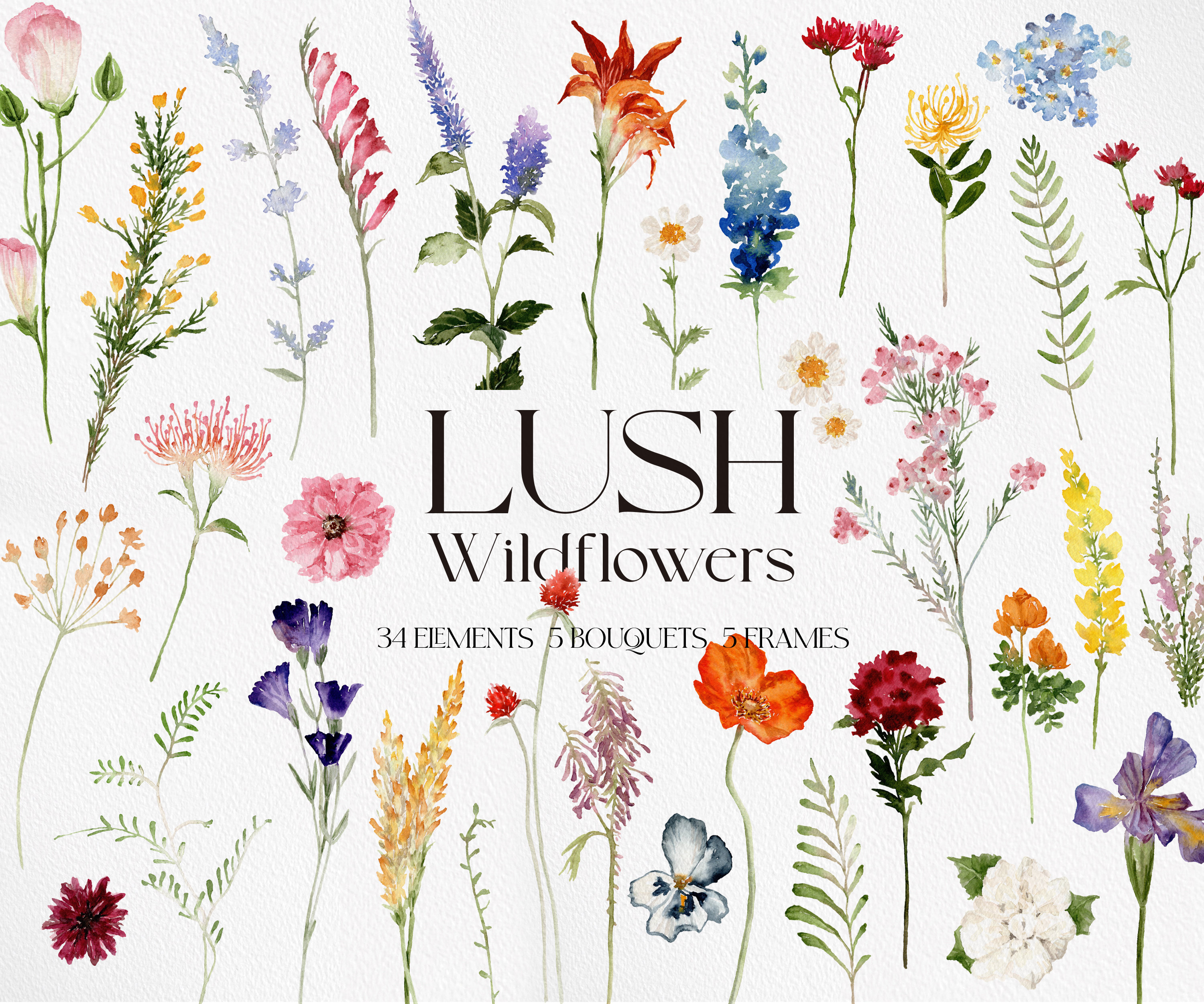 LUSH Wildflowers, Wild flower PNG, Watercolor Wild flower, Flower Clipart, Watercolor Flower PNG, Wildflower Clipart