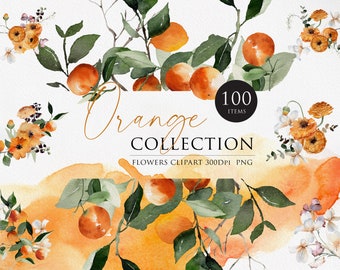 Watercolor Flower Bundle, Watercolor Orange Collection, Orange Wreaths, Watercolor Frames, Orange clipart, Watercolor arrangements