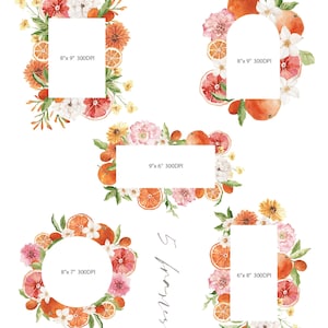 May include: Five watercolor floral frames with orange slices, white flowers, and green leaves. The frames are 8 inches by 9 inches, 9 inches by 6 inches, 8 inches by 7 inches, and 6 inches by 8 inches. All frames are 300 DPI.