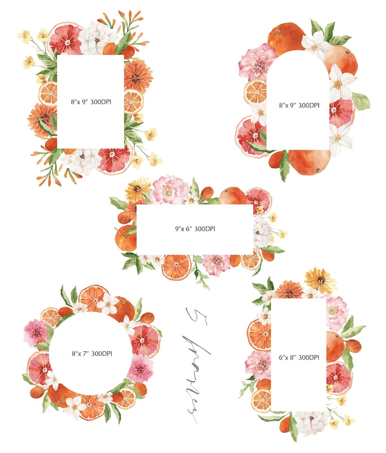 May include: Five watercolor floral frames with orange slices, white flowers, and green leaves. The frames are 8 inches by 9 inches, 9 inches by 6 inches, 8 inches by 7 inches, and 6 inches by 8 inches. All frames are 300 DPI.