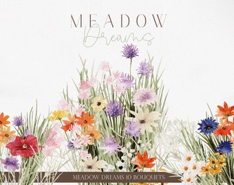 MEADOW Dreams, Watercolor Wildflower, Watercolor Flower PNG, Watercolor Clipart, Wildflower Clipart, Wildflower PNG, Spring Flowers