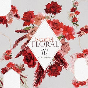 Scarlet Blumen, Aquarell Blume, Aquarell Clipart, Herbst Blume, Blume PNG, Herbst Blumen, Aquarell Bouquets, Rosen Clipart, Rote Rose