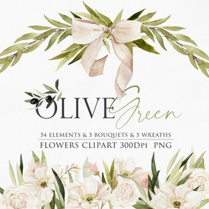 Clipart ad acquerello, Clipart oliva, Fiore ad acquerello, Clipart nuziale, Fiore bianco acquerello, Fiore acquerello PNG, Clipart rosa