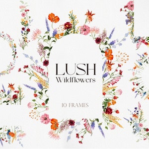 Flores silvestres LUSH, flores silvestres PNG, flores silvestres de acuarela, imágenes prediseñadas de flores, flores de acuarela PNG, imágenes prediseñadas de flores silvestres