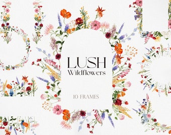 LUSH Wildflowers, Wild flower PNG, Watercolor Wild flower, Flower Clipart, Watercolor Flower PNG, Wildflower Clipart