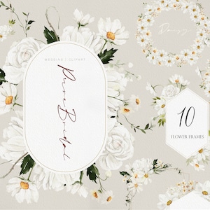Pure Bridal flower, Watercolor flower, White flower, Wedding invitation clipart, Daisy clipart, Watercolor Wedding clipart, Watercolor Daisy image 1
