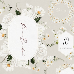 Brautblume, Aquarell Blume, Weiße Blume, HochzeitSeinladung Clipart, Daisy Clipart, Aquarell Hochzeit Clipart, Aquarell Daisy