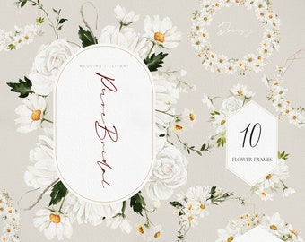 Pure Bridal flower, Watercolor flower, White flower, Wedding invitation clipart, Daisy clipart, Watercolor Wedding clipart, Watercolor Daisy