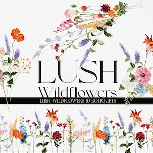 Weelderige wilde bloemen, wilde bloem PNG, aquarel wilde bloem, bloem clipart, aquarel bloem PNG, wilde bloem clipart