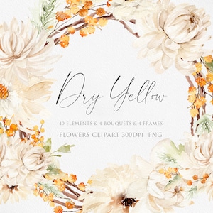Clipart di fiori secchi, PNG di fiori ad acquerello, Clipart di mimosa, Clipart invernale, Ghirlanda di mimosa, Bouquet di fiori secchi, Acquerello di fiori gialli