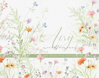 Airy Wildflower, Watercolor Clipart, Watercolor Wildflower PNG, Soft Meadow Floral Arrangement, Soft Summer Wildflower