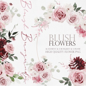 Fleur aquarelle Blush, fleurs de Bourgogne Blush, aquarelle fleur png, clipart fleur Blush, fleurs aquarelle Blush, aquarelle Floral