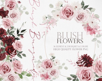 May include: A digital illustration of watercolor blush pink and burgundy roses, greenery, and floral elements. The text "BLUSH FLOWERS" is written in a bold font with the tagline "36 ELEMENT & 5 BOUQUET & 5 FRAME HIGH QUALITY FLOWER PNG".