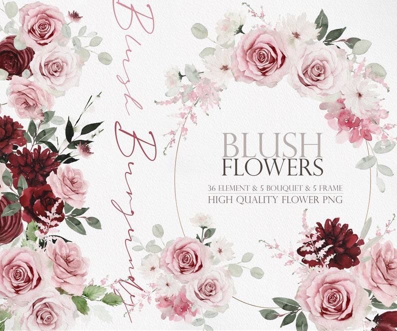 Watercolor Blush Flower Blush Burgundy Flowers Watercolor Etsy