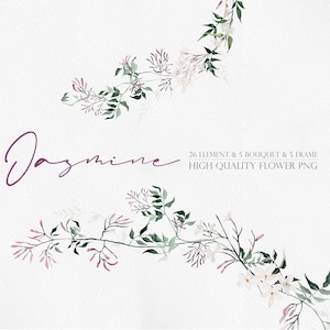 Aquarell Blume PNG, Jasmin Clipart, Aquarell botanisch, Blumen Clipart, Aquarell BlumenStrauß, Blumen Clipart, Jasmin Bouquet