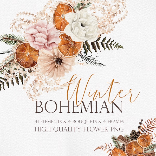 Winter Boho flower, Winter Bohemian, Boho flower, Dried Orange, Christmas clipart, Citrus clipart, Boho clipart, Watercolor clipart