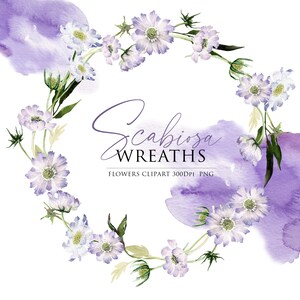 Wieniec akwarelowy, Kwiat lawendy, Clipart akwarelowy, Akwarela botaniczna, Wieniec kwiatowy, Clipart fioletowy, Akwarela Scabiosa