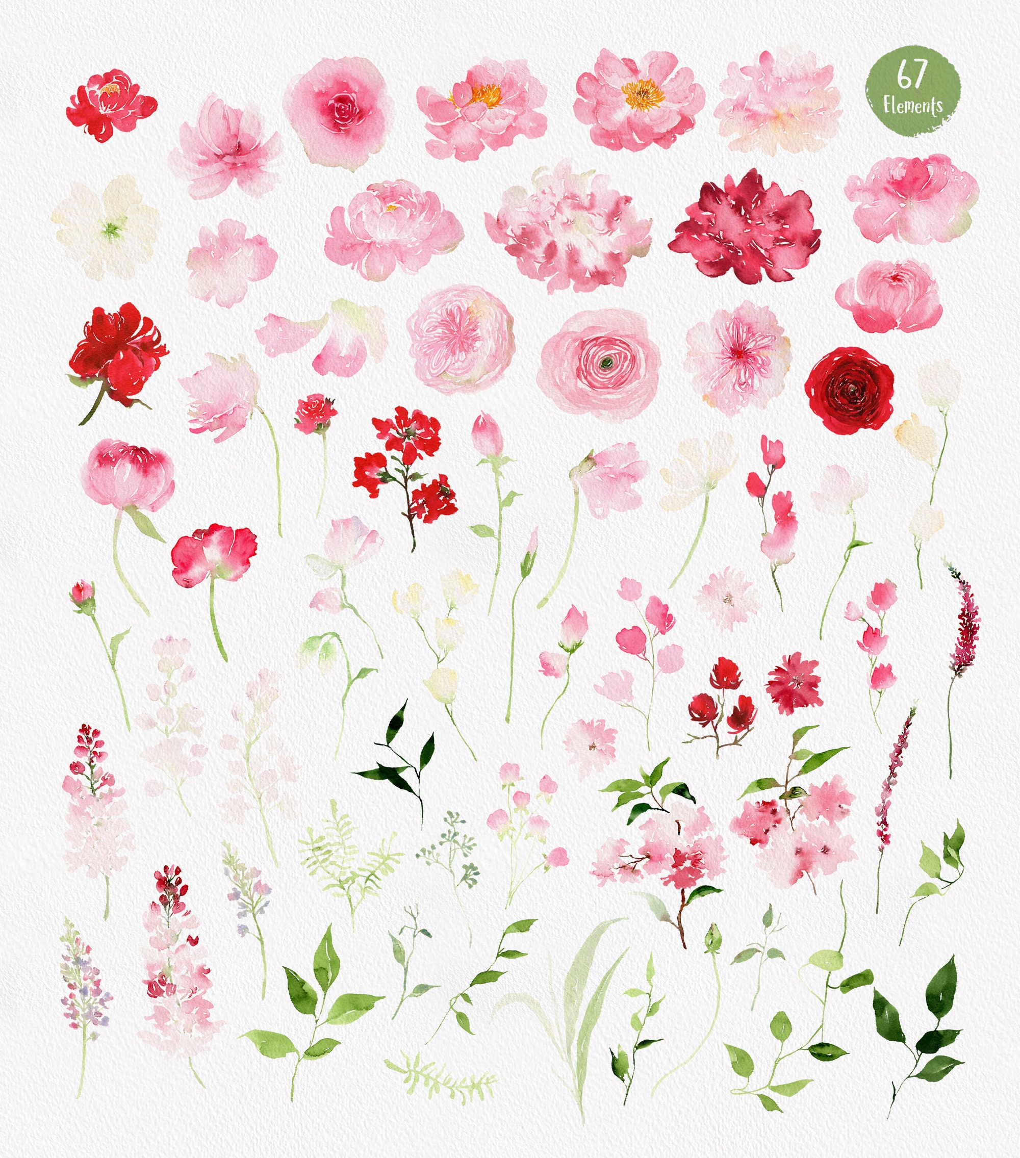 Watercolor Flower Arrangements Florals Graphic by sayedhasansaif04