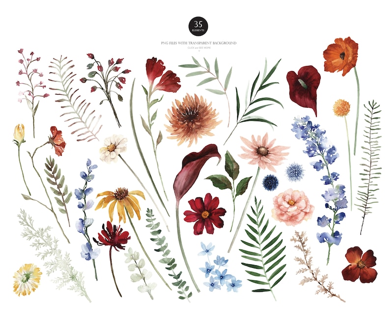 May include: Watercolor illustration of various flowers and foliage in shades of red, orange, yellow, pink, blue, and green. The image includes a variety of floral elements, such as poppies, daisies, and leaves. Text at the top reads "35 ELEMENTS".