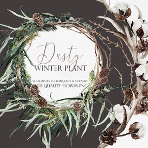 Fleur d’hiver poussiéreuse, Couronnes d’hiver, Fleur de Boho d’hiver, Clipart de pin, Clipart de fleur de coton, Plante d’hiver, Aquarelle fleur d’hiver