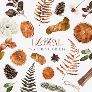 Flor Boho de inverno, Boho de inverno, Flor Boho, Laranja seca, clipart de Natal, clipart cítrico, clipart Boho, clipart aquarela