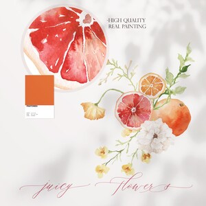 May include: Watercolor painting of a bouquet of flowers with oranges and grapefruits. The flowers are white and yellow. The oranges and grapefruits are sliced in half and show the inside of the fruit. The painting is on a white background. The text "juicy flowers" is written in cursive at the bottom of the painting.
