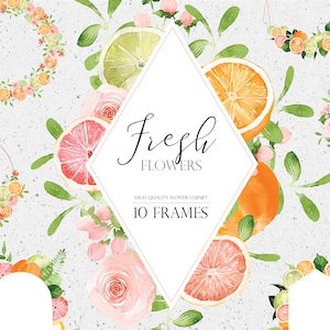Jours frais, Bouquets de fleurs de fruits, Aquarelle orange fleur, Clipart de fleur d’oranger, Fruit d’été png, Cadre frais, Clipart orange
