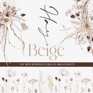 HAY Beige, aquarelle Clipart, aquarelle Boho, Boho Clipart, fleur séchée, fleur Clipart, Boho fleur PNG, aquarelle fleur,
