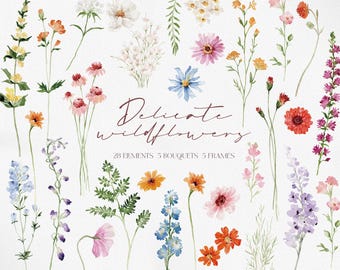 DELICATE Wildflowers, Watercolor Wildflower PNG, Wildflower Clipart, Watercolor Flower, Flower Clipart, Wildflower PNG