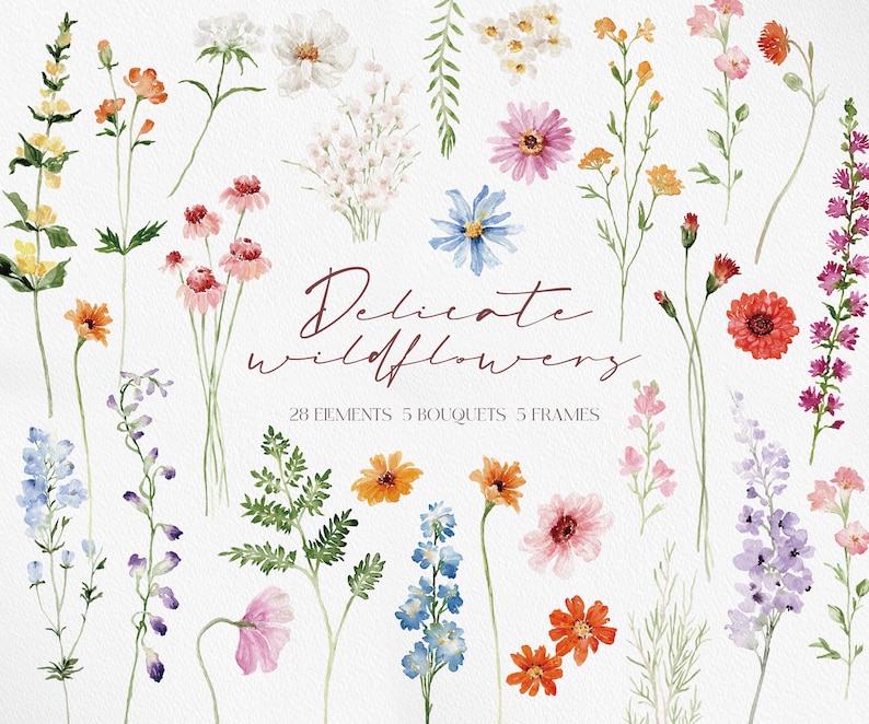 May include: A watercolor illustration set of delicate wildflowers in various colors, including blue, pink, orange, and yellow. The set includes 28 individual elements, 5 bouquets, and 5 frames.  The text "Delicate Wildflowers" is written in a brown font.
