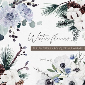Florais de inverno, clipart aquarela, guirlanda floral, botânico de inverno, clipart de inverno, flor de algodão, Winterberry, clipart de pinheiro aquarela