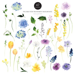 May include: A set of 47 watercolor illustrations of various flowers and leaves. The flowers are in shades of blue, yellow, purple, and white. The leaves are green. PNG files with transparent background. Click and see more.
