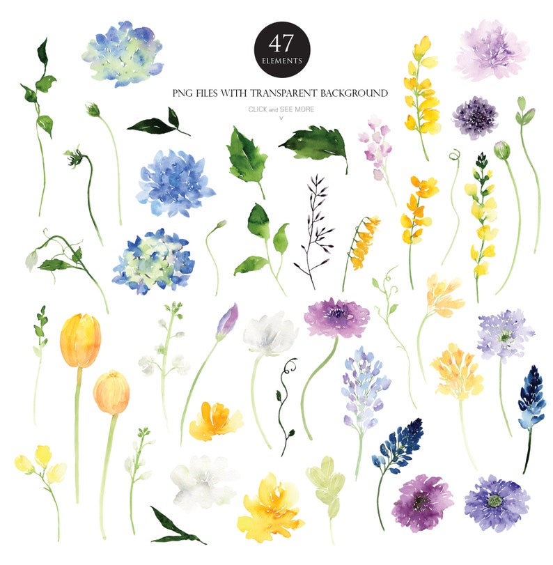 May include: A set of 47 watercolor illustrations of various flowers and leaves. The flowers are in shades of blue, yellow, purple, and white. The leaves are green. PNG files with transparent background. Click and see more.