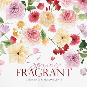 Fragancia de primavera, flor de acuarela, flor de primavera de acuarela, flor de primavera PNG, flor de acuarela PNG, clipart de acuarela, clipart de flores