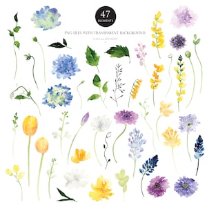May include: A set of 47 watercolor illustrations of various flowers and leaves. The flowers are in shades of blue, yellow, purple, and white. The leaves are green. PNG files with transparent background. Click and see more.