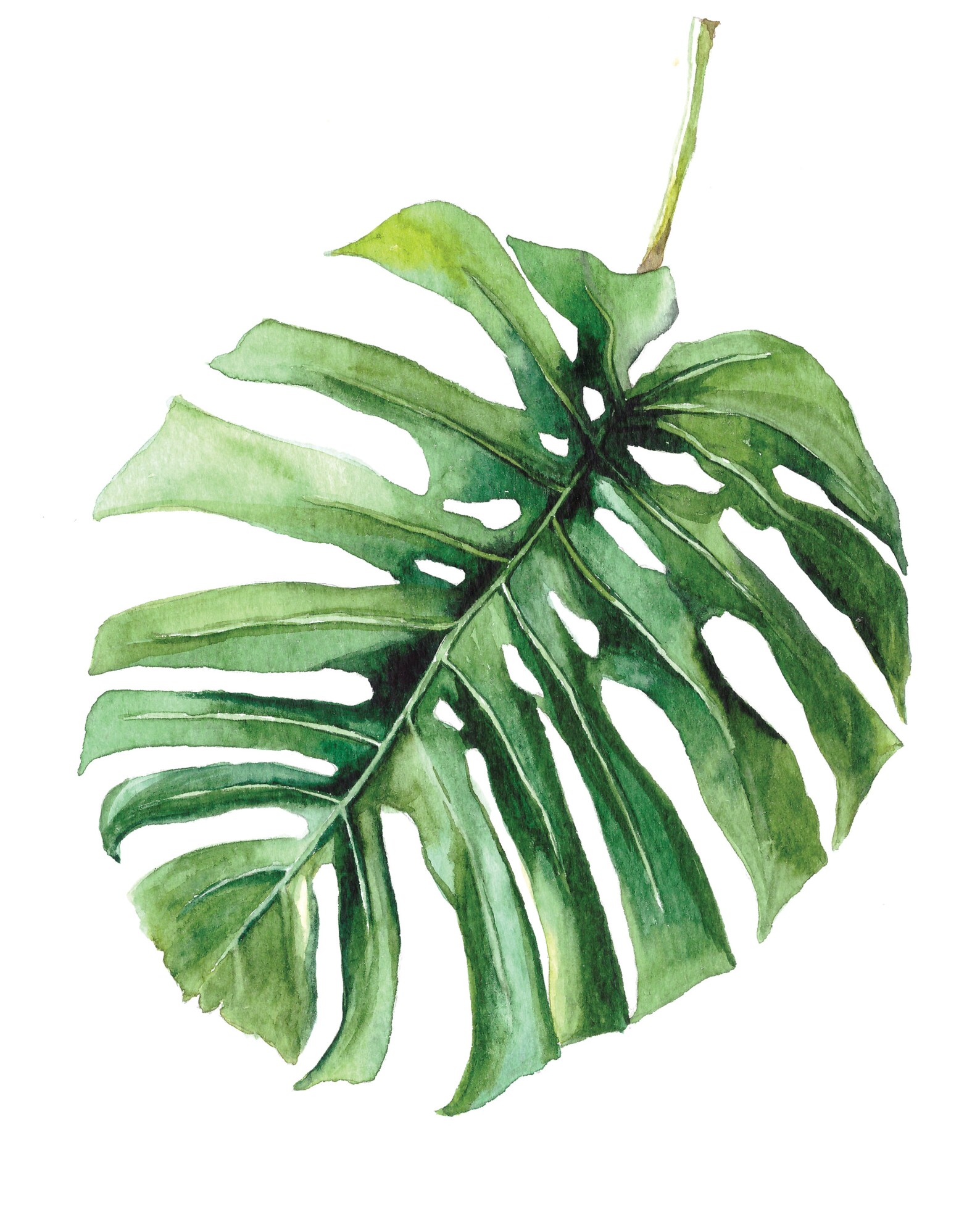 Greenery Watercolor Printable Wall Art Watercolor Print Etsy