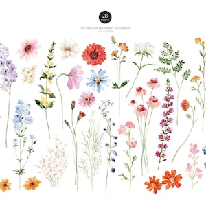 May include: A set of 28 watercolor illustrations of various flowers and foliage. The flowers are in shades of pink, red, blue, yellow, and orange. The foliage is green.