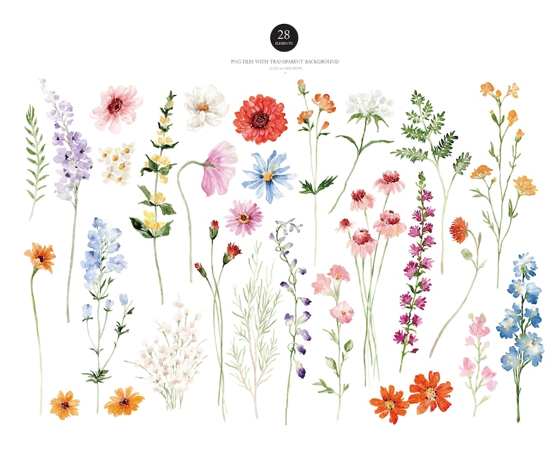 May include: A set of 28 watercolor illustrations of various flowers and foliage. The flowers are in shades of pink, red, blue, yellow, and orange. The foliage is green.