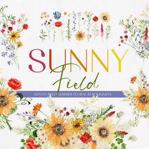 ZONNIG veld, aquarel bloem, aquarel clipart, aquarel wilde bloem, zomer bloem PNG, aquarel zomer, WildFlower clipart