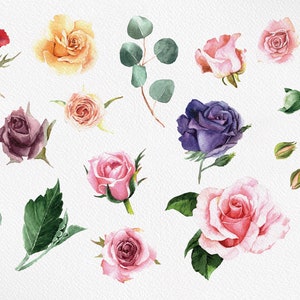 Watercolor Clipart Greenery Watercolor Bouquets Roses - Etsy