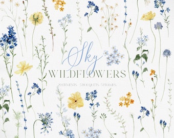 SKY Wildflowers, Wildflower Clipart, Watercolor Wildflower PNG, Watercolor Blue Flowers, Watercolor Flower, Flower Clipart
