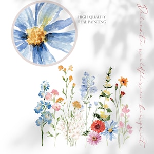 May include: Watercolor painting of a delicate bouquet of wildflowers in shades of blue, pink, yellow, orange, and red. The flowers are arranged in a row against a white background. The text "Delicate wildflower bouquet" is written vertically on the right side of the image. The text "High Quality Real Painting" is written in black text on a white background.