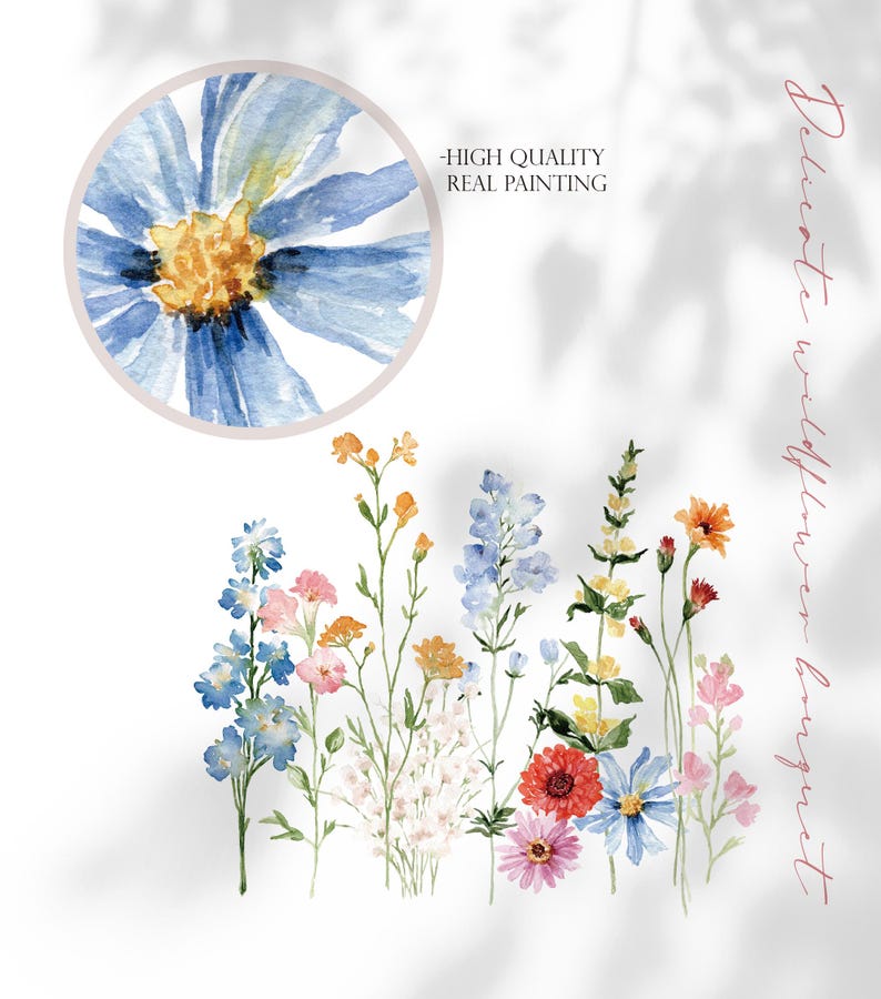May include: Watercolor painting of a delicate bouquet of wildflowers in shades of blue, pink, yellow, orange, and red. The flowers are arranged in a row against a white background. The text "Delicate wildflower bouquet" is written vertically on the right side of the image. The text "High Quality Real Painting" is written in black text on a white background.