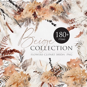 Pacchetto fiori acquerello, collezione beige acquerello, fiori Boho, floreale Boho, bouquet secco, clipart di fiori, clipart di Pampas