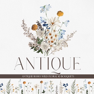 ANTICO floreale, fiore dell'acquerello, Clipart dell'acquerello, Wildflower PNG, Boho Flower PNG, Boho Wildflower, bouquet acquerello