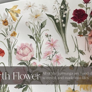 Puede incluir: Una pintura de acuarela de varias flores, incluyendo una amapola roja, una peon&iacute;a rosa, una margarita blanca, un narciso amarillo, un iris morado, una rosa roja y un lirio de los valles blanco. El texto "Birth Flower" est&aacute; en la parte inferior de la imagen. El texto "All of the paintings are hand drawn, scanned, and made into files." tambi&eacute;n est&aacute; en la parte inferior de la imagen.